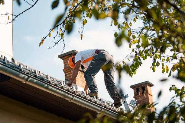 Best New Roof Installation  in Morenci, MI