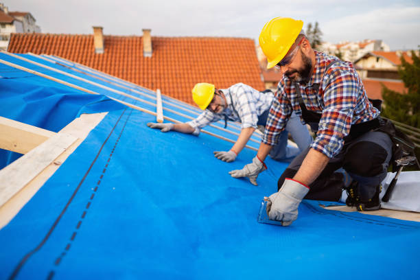 Best Emergency Roof Repair  in Morenci, MI